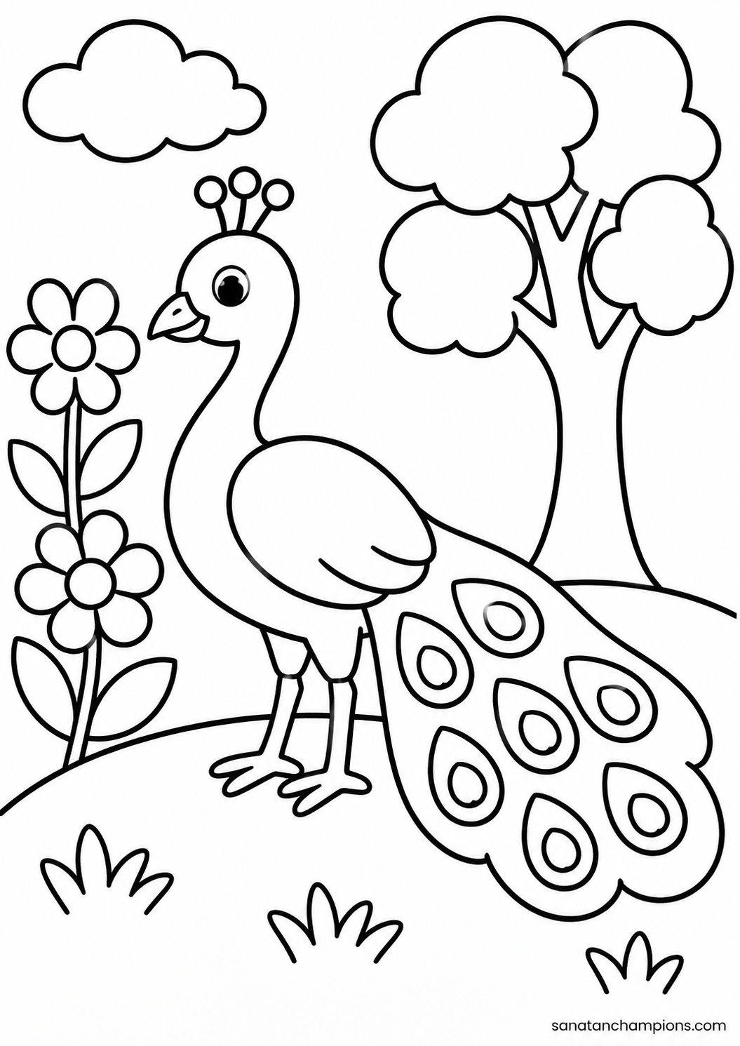 A Peacock — an illustrated colouring page, ages 4–6. Opens its page.